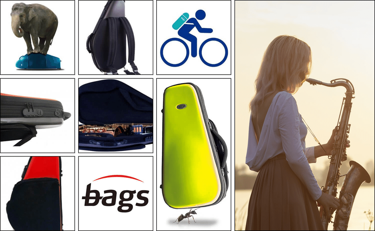 Bags アルトサックスケース バッグス スペイン bags バッグス アルトサックス ケース メタリックグレー EFAS
