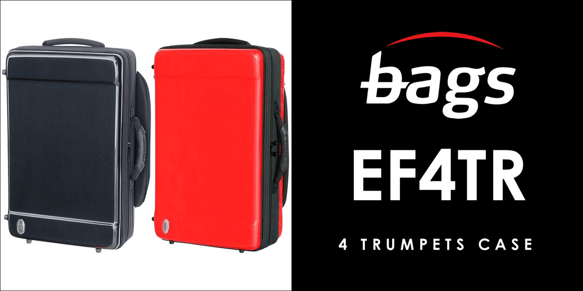 Bags アルトサックスケース バッグス スペイン bags(バッグス) EFAS M-BLK アルトサックスケース メタリック