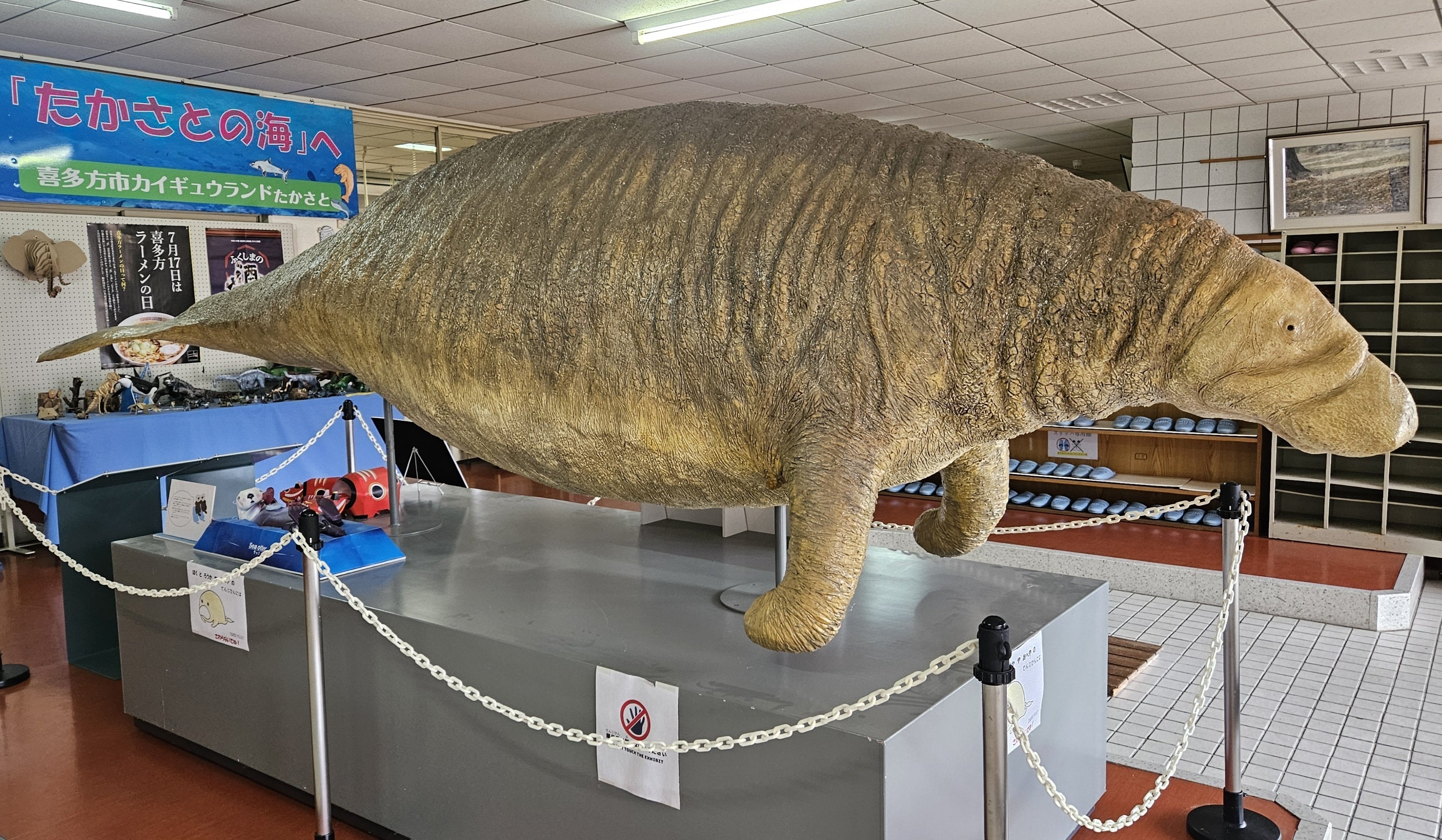 古代魚　巨大　化石　博物館級 古代魚 巨大 化石 博物館級 間違いなく「過去一」のサイズと保存