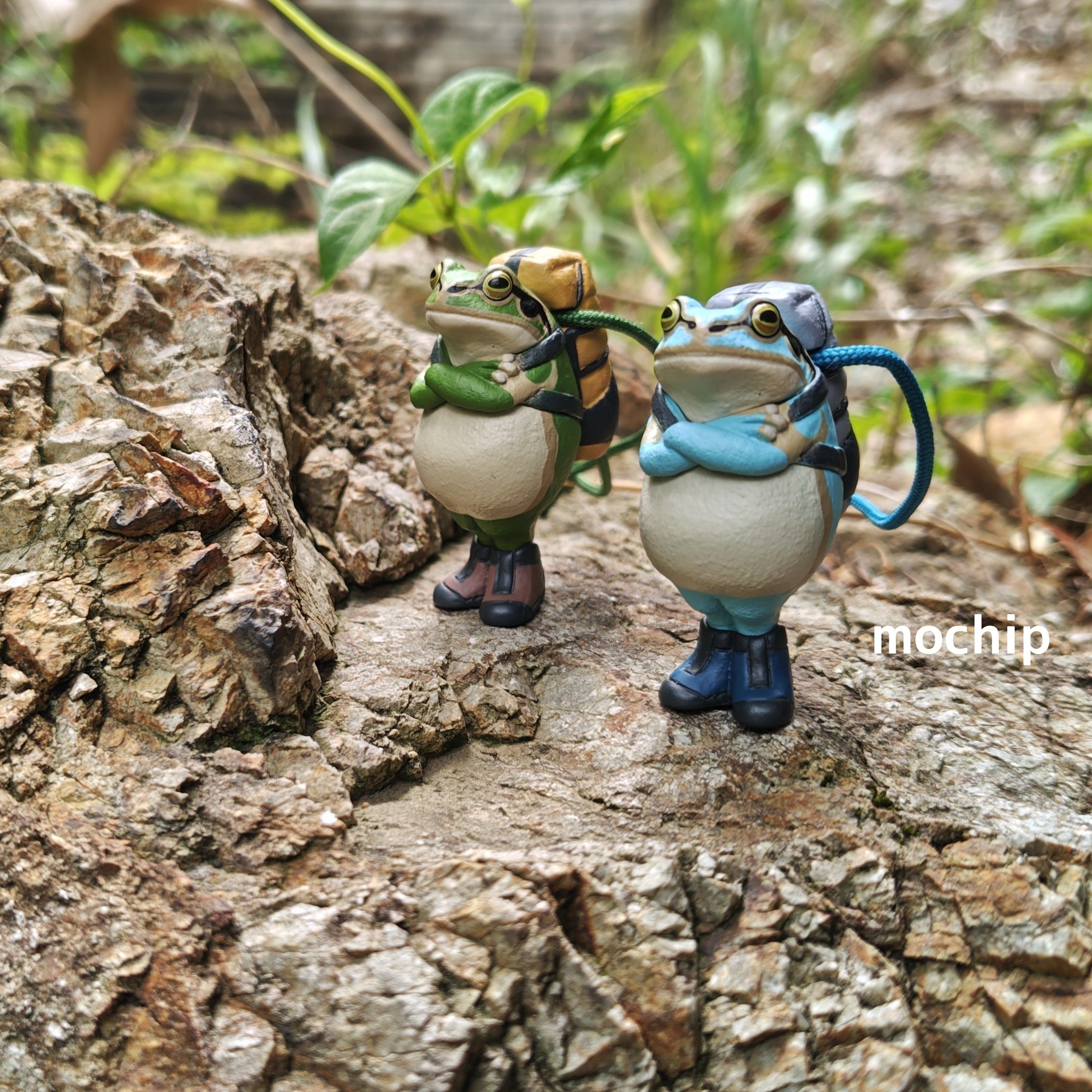 登山に連れて行くカエル｜mochipさんぽ＊山歩と、あれこれ