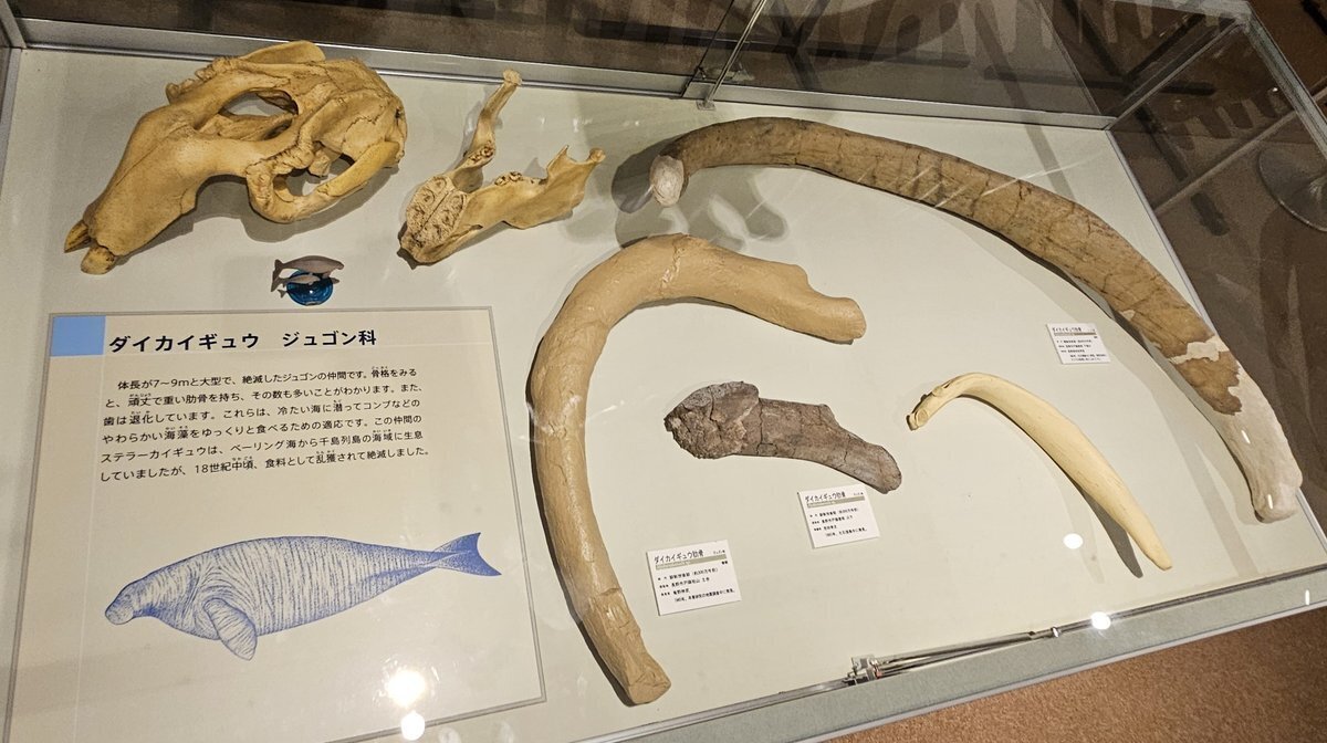 【中古】 シャバを生き抜く「悪行力」 世の「偽り」を見破る悪の掟/経済界/亀石征一郎 Yahoo!オークション - NA/L/シャバを生き抜く「悪行力」/亀石