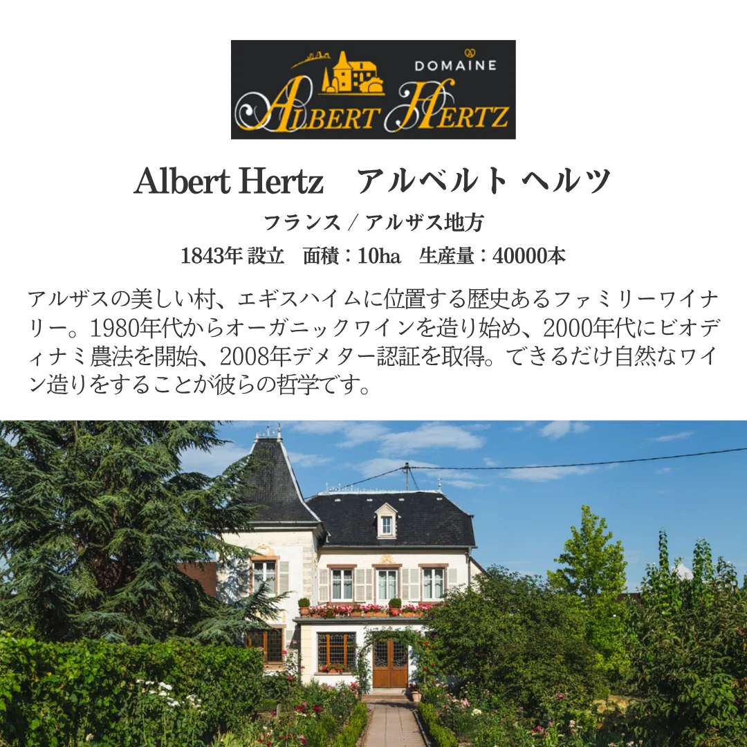 Albert Hertz アルベルト ヘルツ｜AlcotradeTrust
