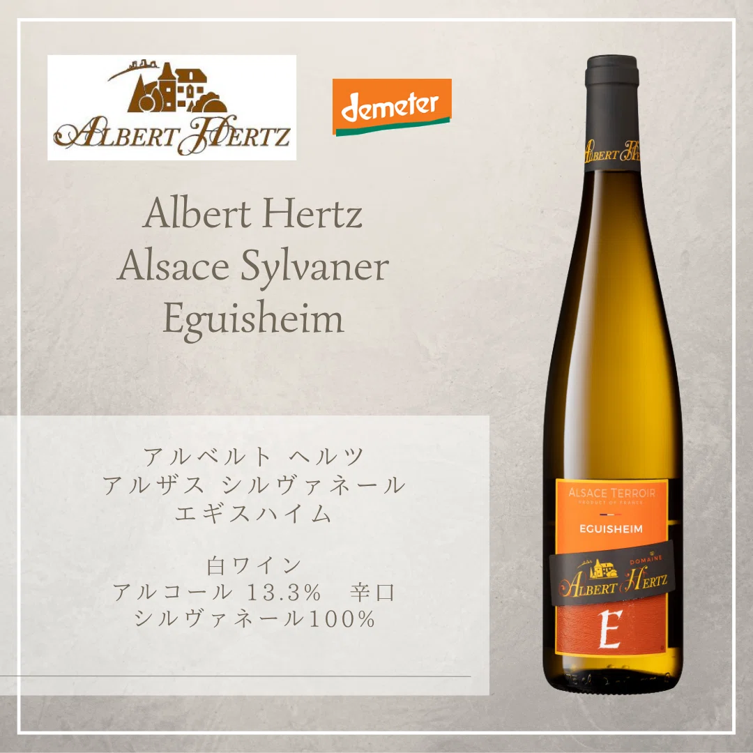 Albert Hertz アルベルト ヘルツ｜AlcotradeTrust