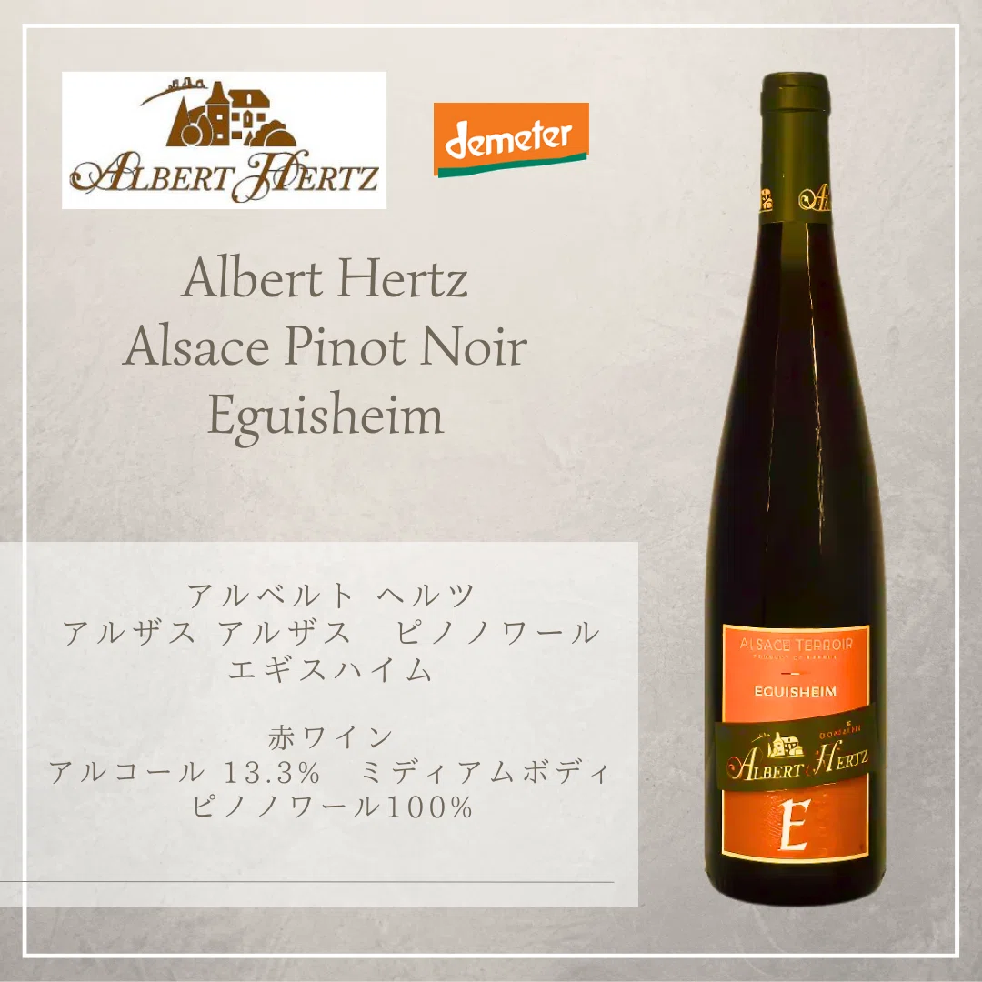 Albert Hertz アルベルト ヘルツ｜AlcotradeTrust