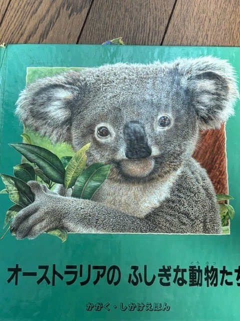 しかけ絵本紹介「オーストラリアのふしぎな動物たち」｜さとうえいこの