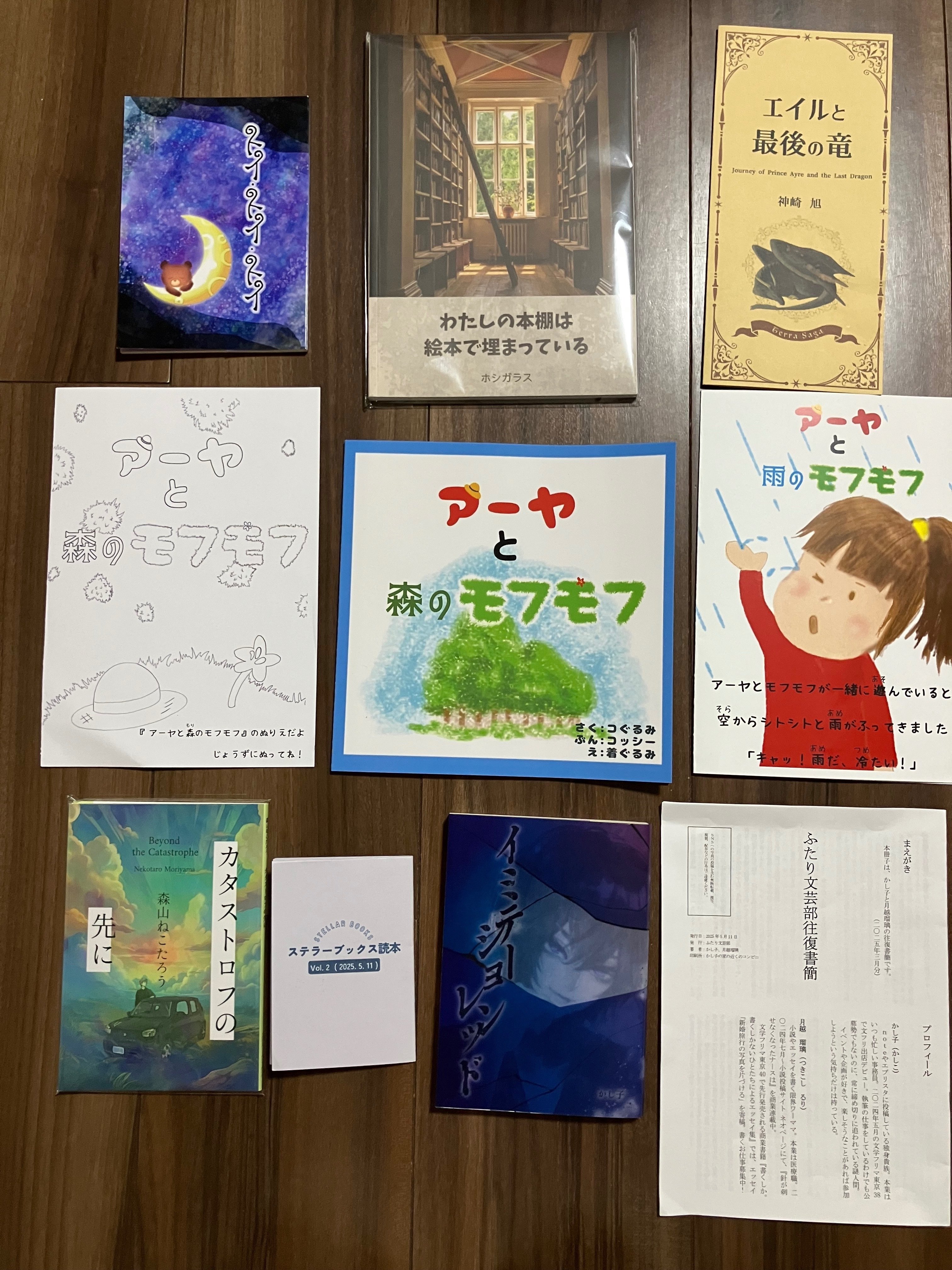 文学フリマ振り返り その2 文学フリマで買った本｜海人（蒔田涼）