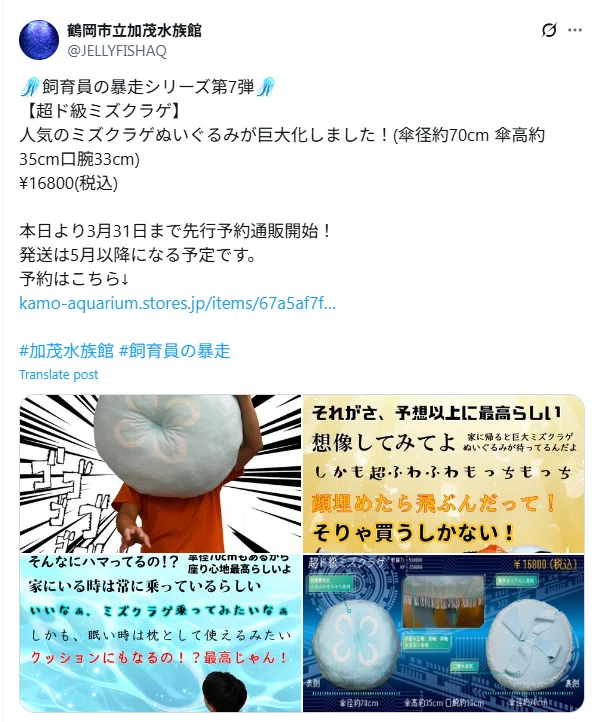 ミズクラゲのぬいぐるみを買ってみたら、予想以上に大きかった