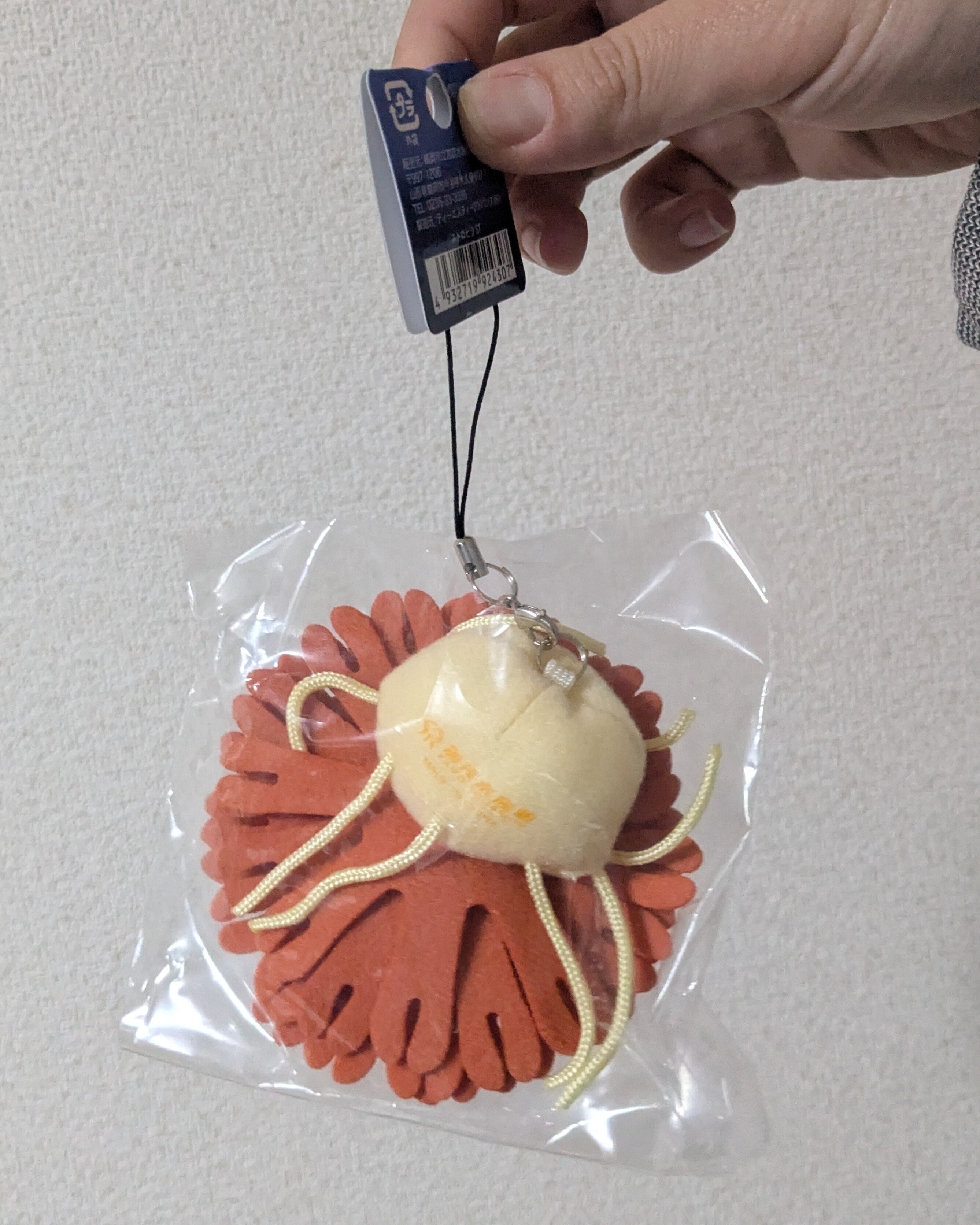 ミズクラゲのぬいぐるみを買ってみたら、予想以上に大きかった