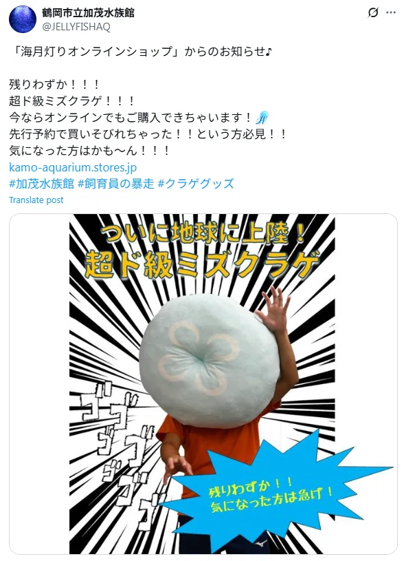 ミズクラゲのぬいぐるみを買ってみたら、予想以上に大きかった