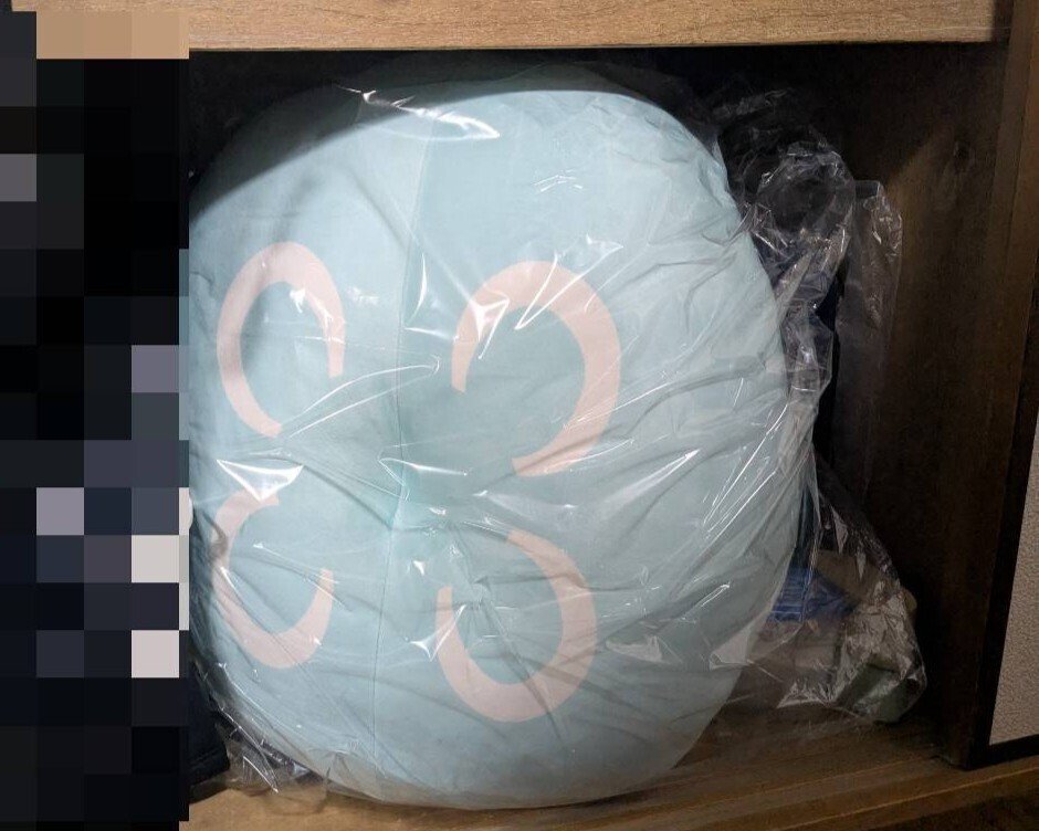 みずくらげ ミズクラゲのぬいぐるみを買ってみたら、予想以上に大きかった