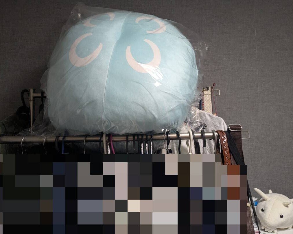 みずくらげ ミズクラゲのぬいぐるみを買ってみたら、予想以上に大きかった