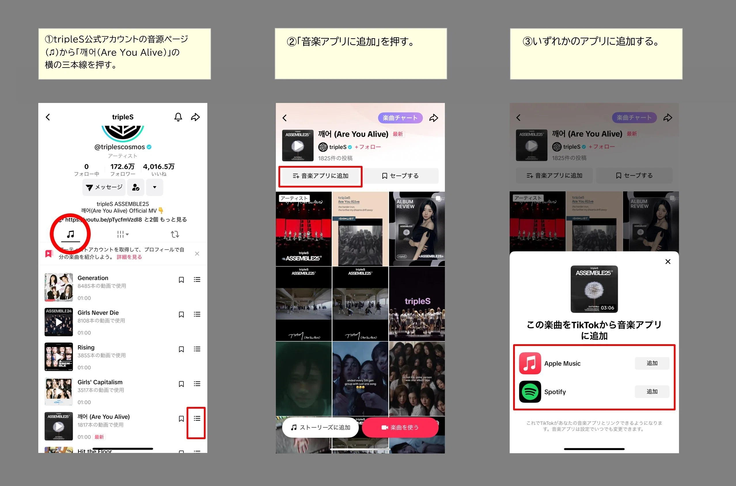 TikTok | tripleS Double Class Objekt Eventの説明｜Lash (tripleS)