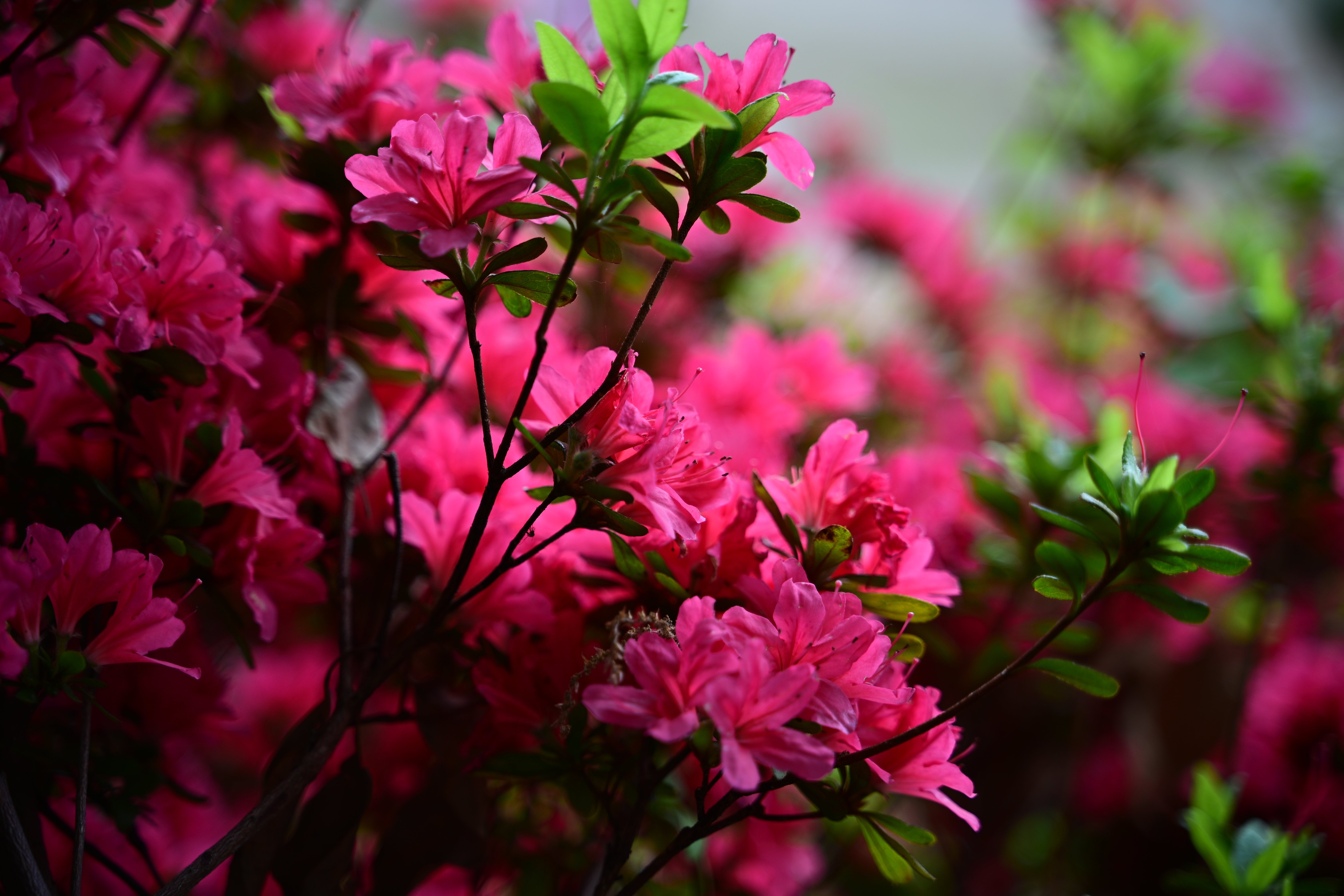 写真まとめ③ Interview Vol.2 千田智康｜FUJIFILM X-T3 HANDS ON｜富士フイルム