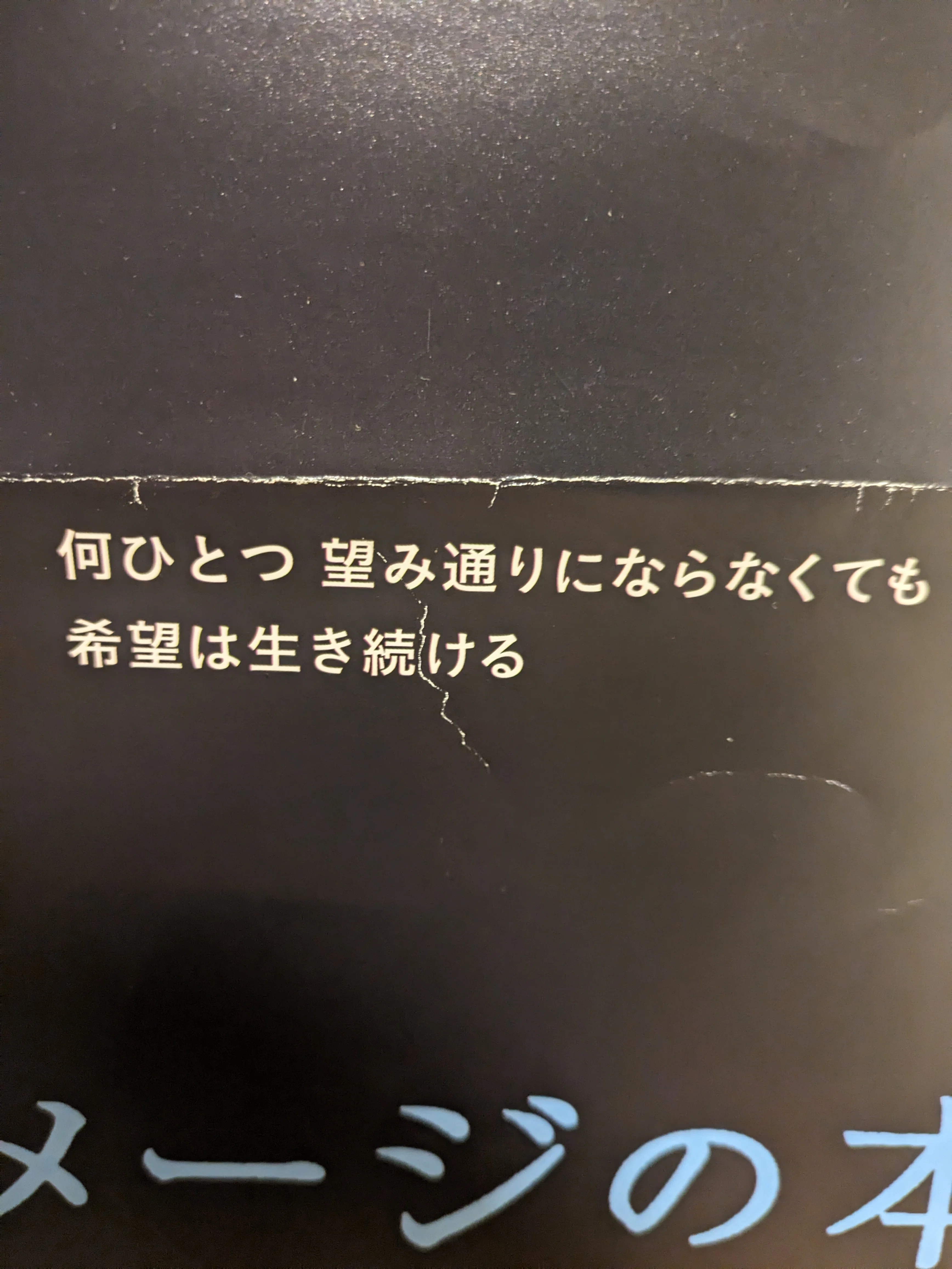 何ひとつ 望み通りにならなくても 希望は生き続ける｜belca