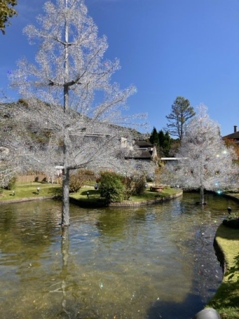 箱根・富士　旅ノート トラブルから始まった、でも、忘れられない最高の箱根旅｜快晴の