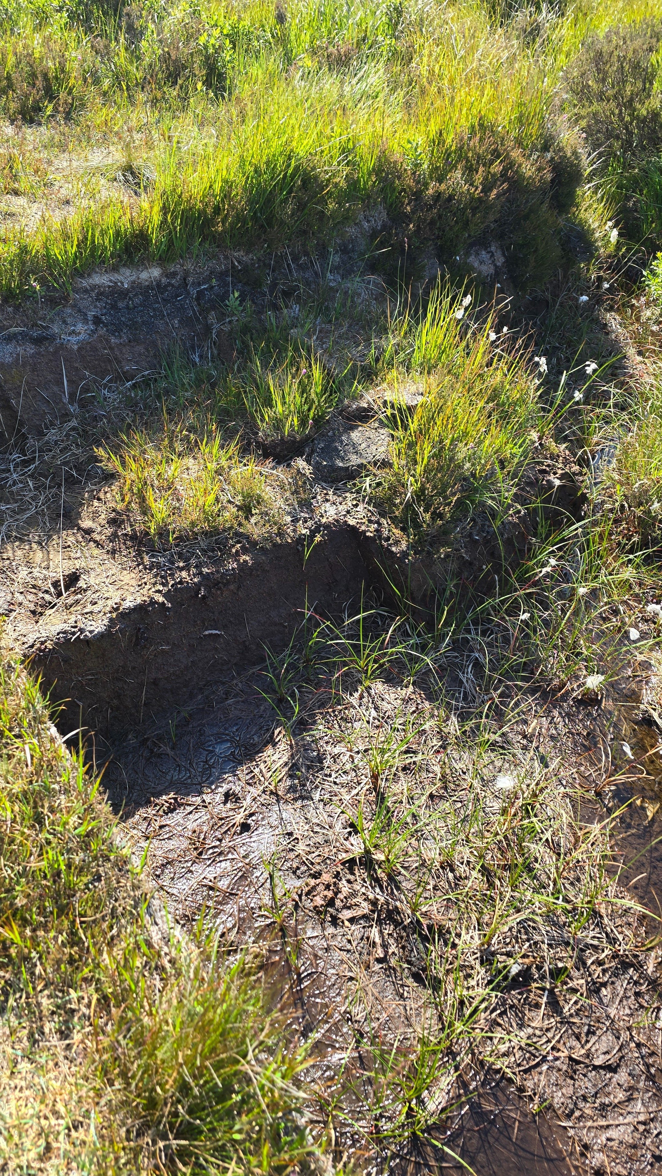 Vol17前半 第19弾 厚岸 立夏（りっか）とは？｜いい酒あるぞ！長野屋