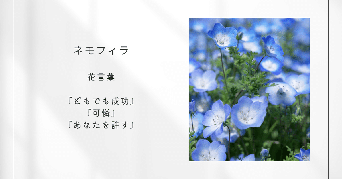 直筆絵画 原マスミ／豪華（大衣）新品額付　タイトル「Tシャツ」送料無料 07 直筆絵画 原マスミ／豪華（大衣）新品額付 タイトル「Tシャツ