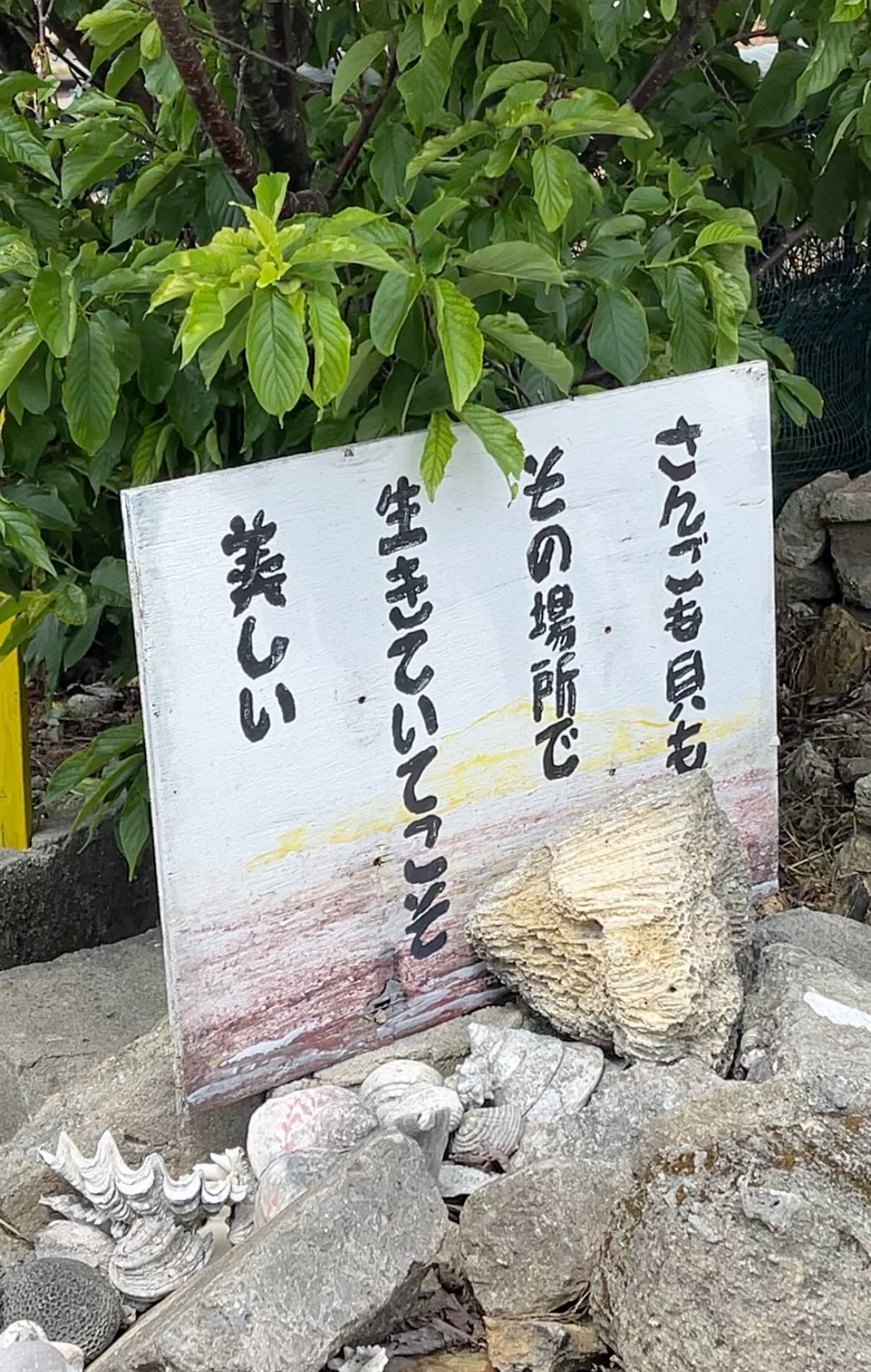 沖縄巡礼神の島大神島★私物ラスト品 沖縄巡礼神の島大神島☆私物ラスト品