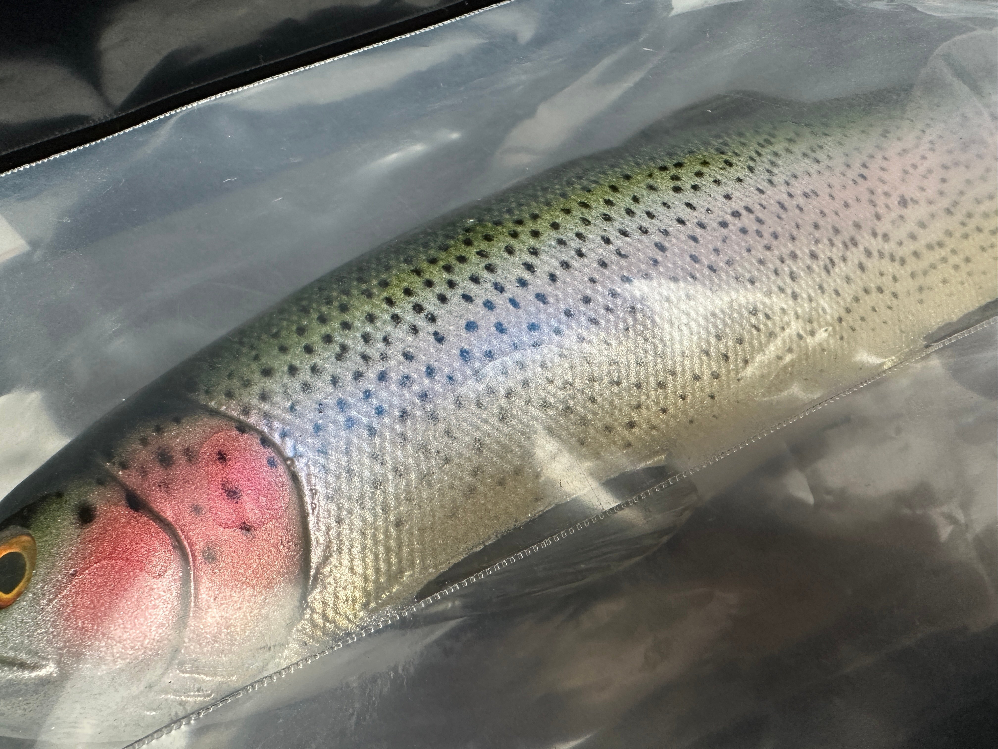 入荷速報】Nate's Baits「12インチ Line Through Trout」登場