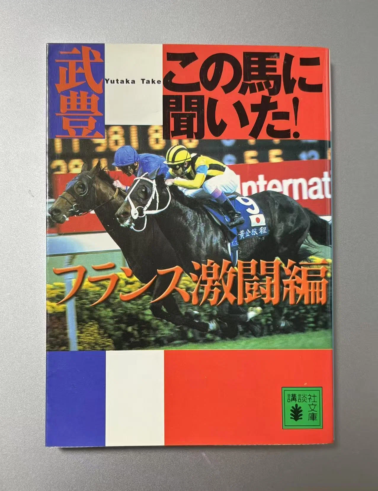 こぼれ話が面白い武豊手記「この馬に聞いた！（フランス激闘編