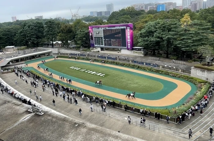 東京競馬場パドック
