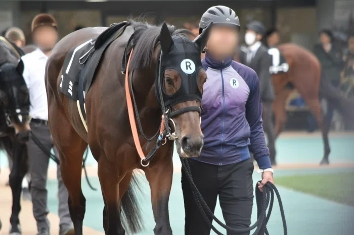 東京競馬場パドックの様子１