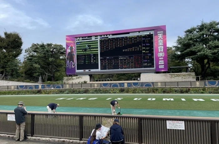 東京競馬場パドックの様子３