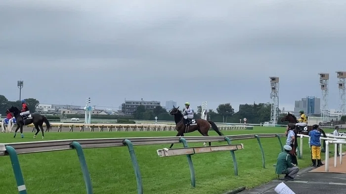東京競馬場本馬場入場の様子１