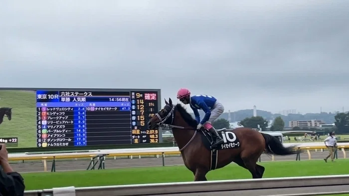 東京競馬場本馬場入場の様子２