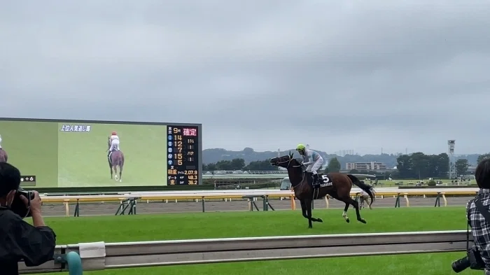 東京競馬場本馬場入場の様子３