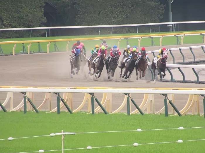 東京競馬場レースの様子１