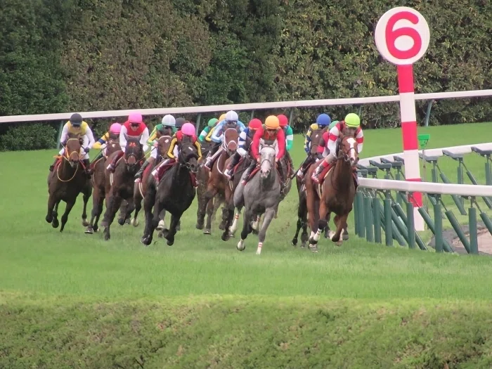 東京競馬場レースの様子２