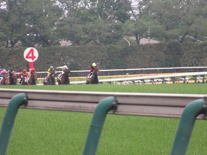 東京競馬場レースの様子３
