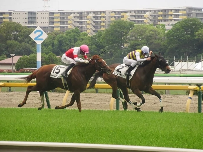 東京競馬場レースの様子４