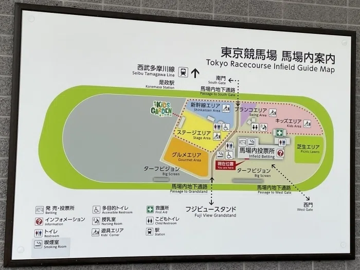 東京競馬場内馬場