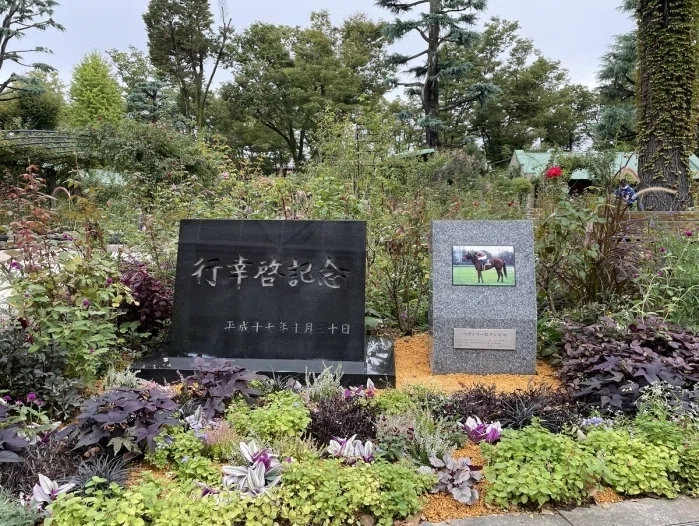東京競馬場内馬場ローズガーデン