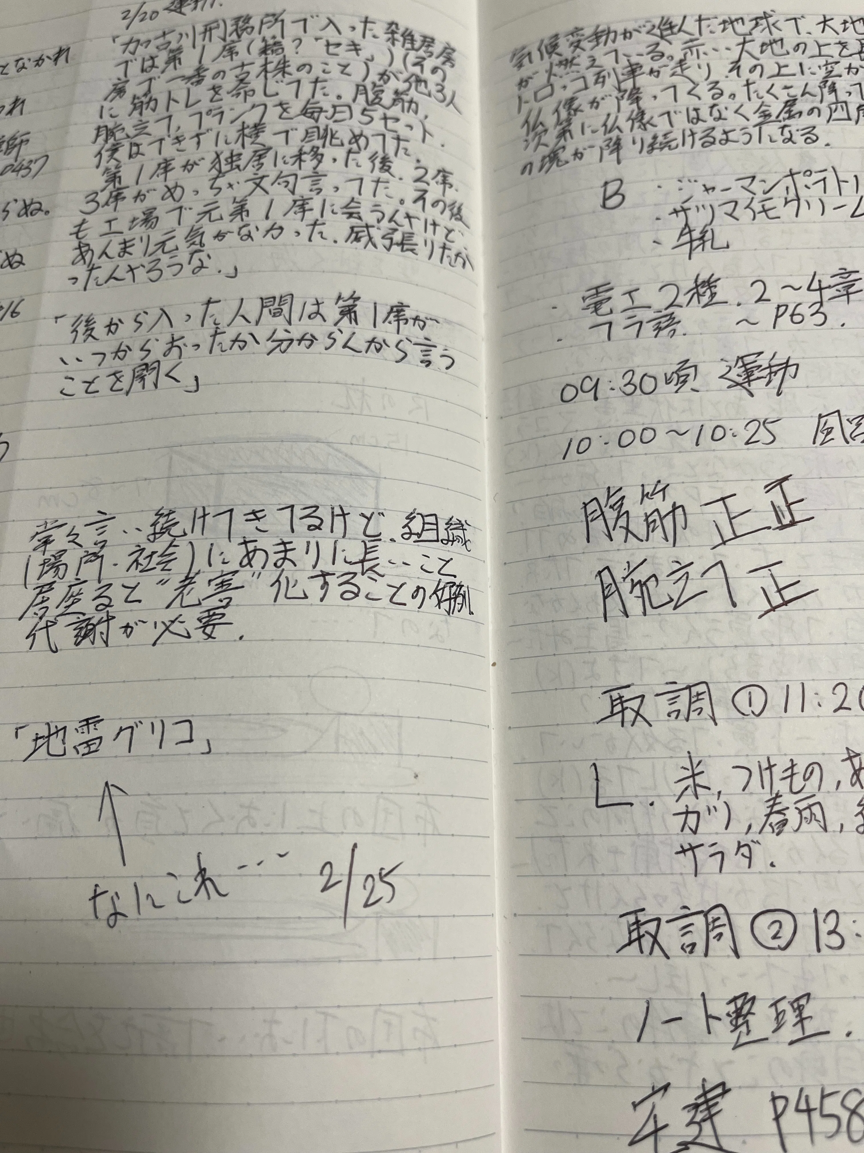 犯罪と人間のかなしみ 刑事訴訟の現実と日本の法文化を考える/