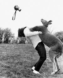 カンガルーに殴られた男」 撮影される側の気持ちも考慮しないと ジョン