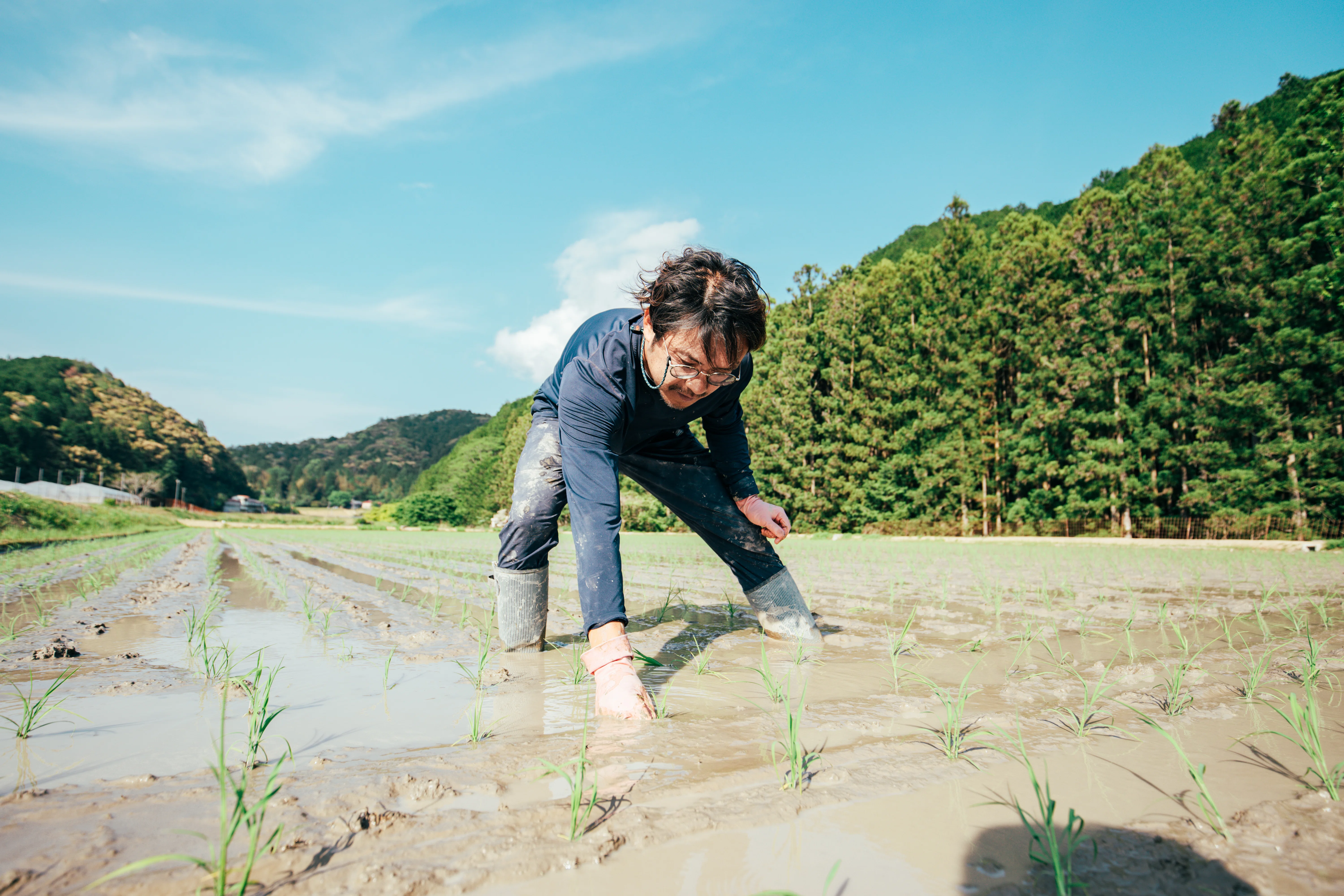 2025年春、四万十町で農家デビュー。今年も田植え、始まりました