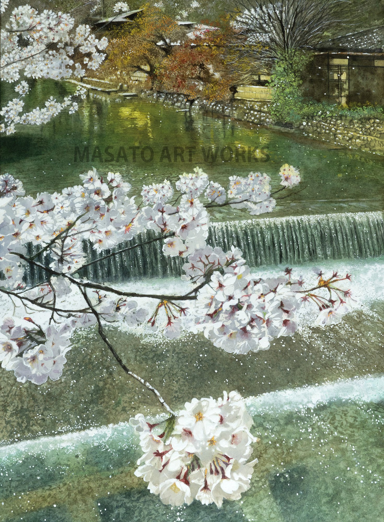 水彩画新作です・・・今年の春に行った京都嵐山、川と桜の風景｜MASATO