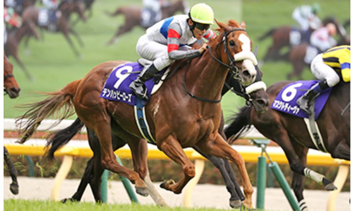 ヴィルシーナ関係者記念品 2013ヴィクトリアマイルG1 ウマ娘 競馬
