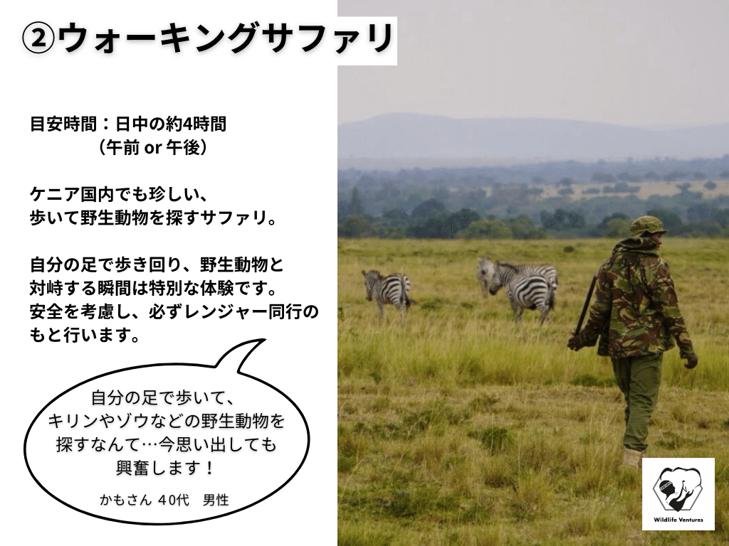 楽天市場】モンキービズ サウスアフリカ ビーズ細工 ビーズ