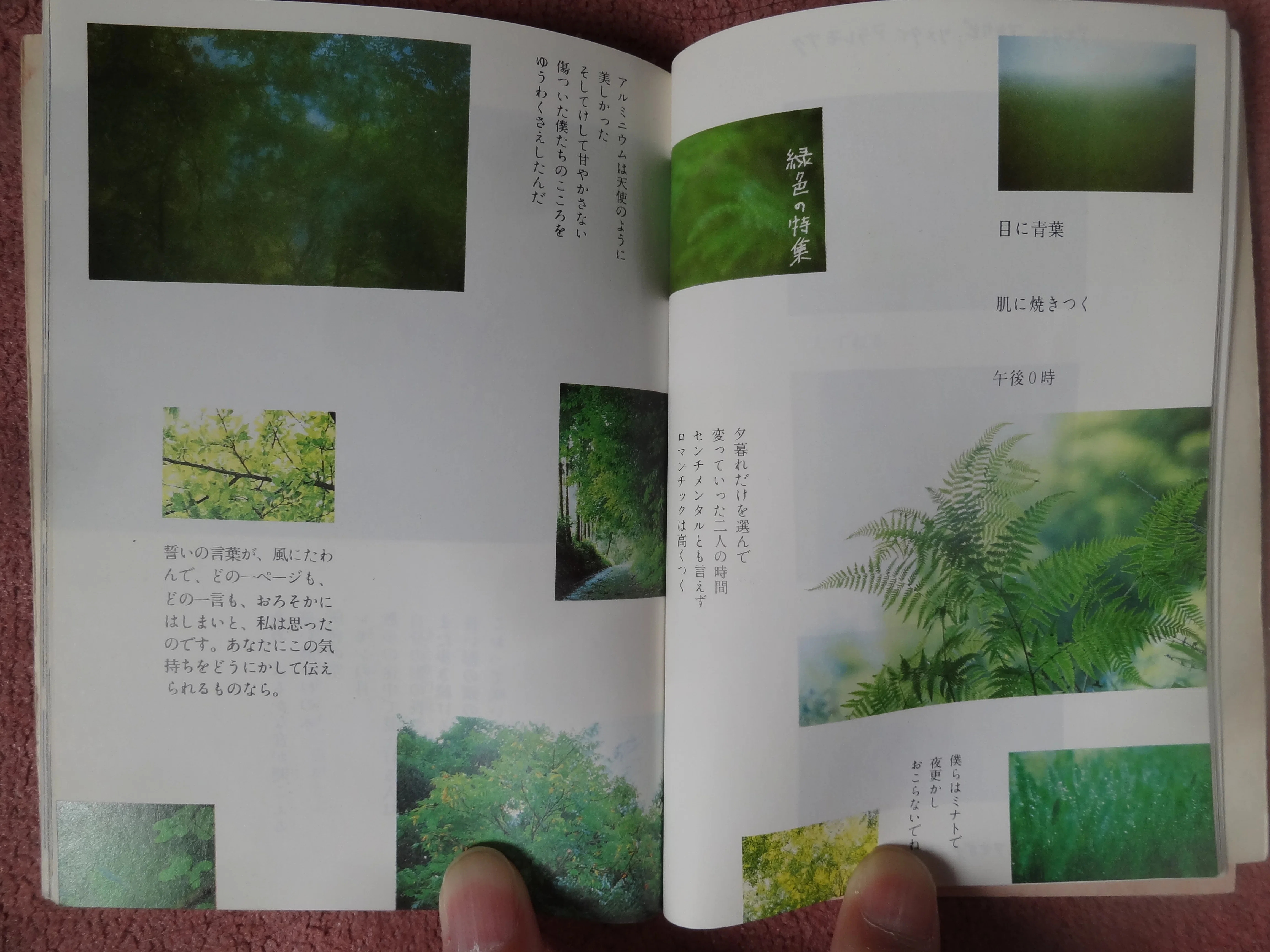 書評）第23回「これもすべて同じ一日」（銀色夏生 著）☆詩人の銀色