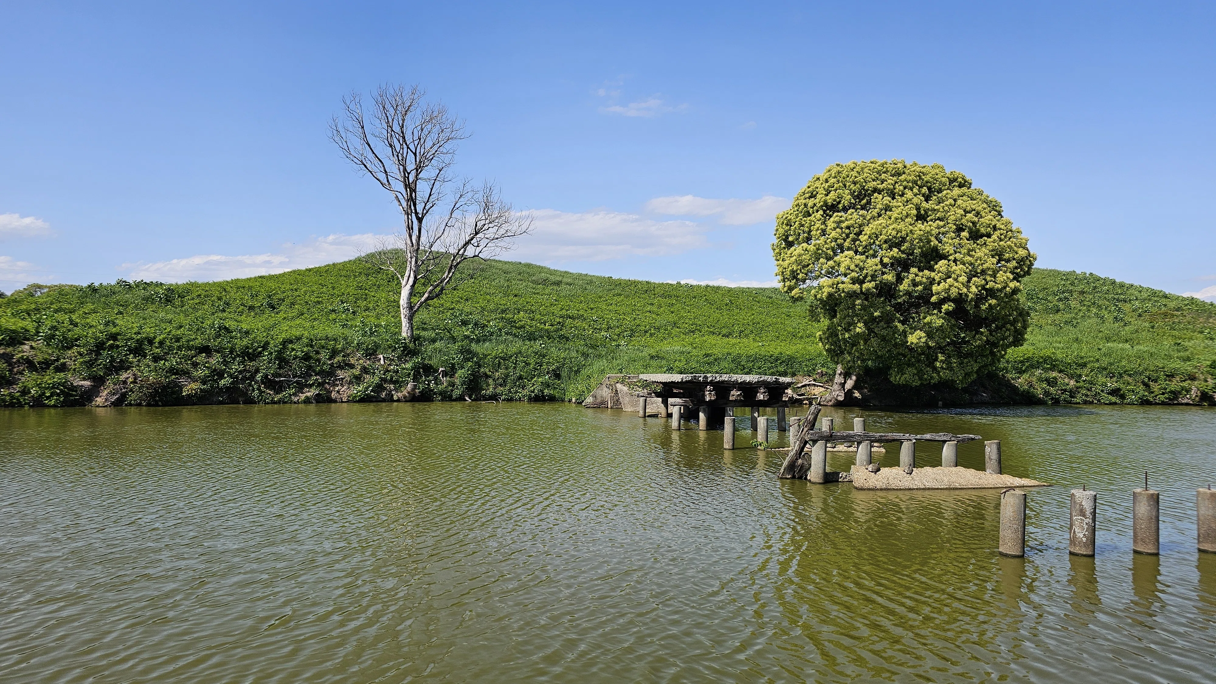 史跡散歩｜いたすけ古墳・御廟山古墳（百舌鳥古墳群）｜大阪・堺市