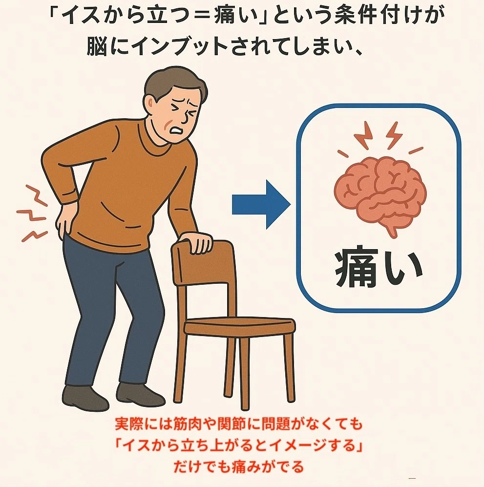 【痛みは“学習”される!?】~条件付けがつくり出す、消えない痛みの正体とは~|岩崎久弥 Hisaya Iwazaki D.C.