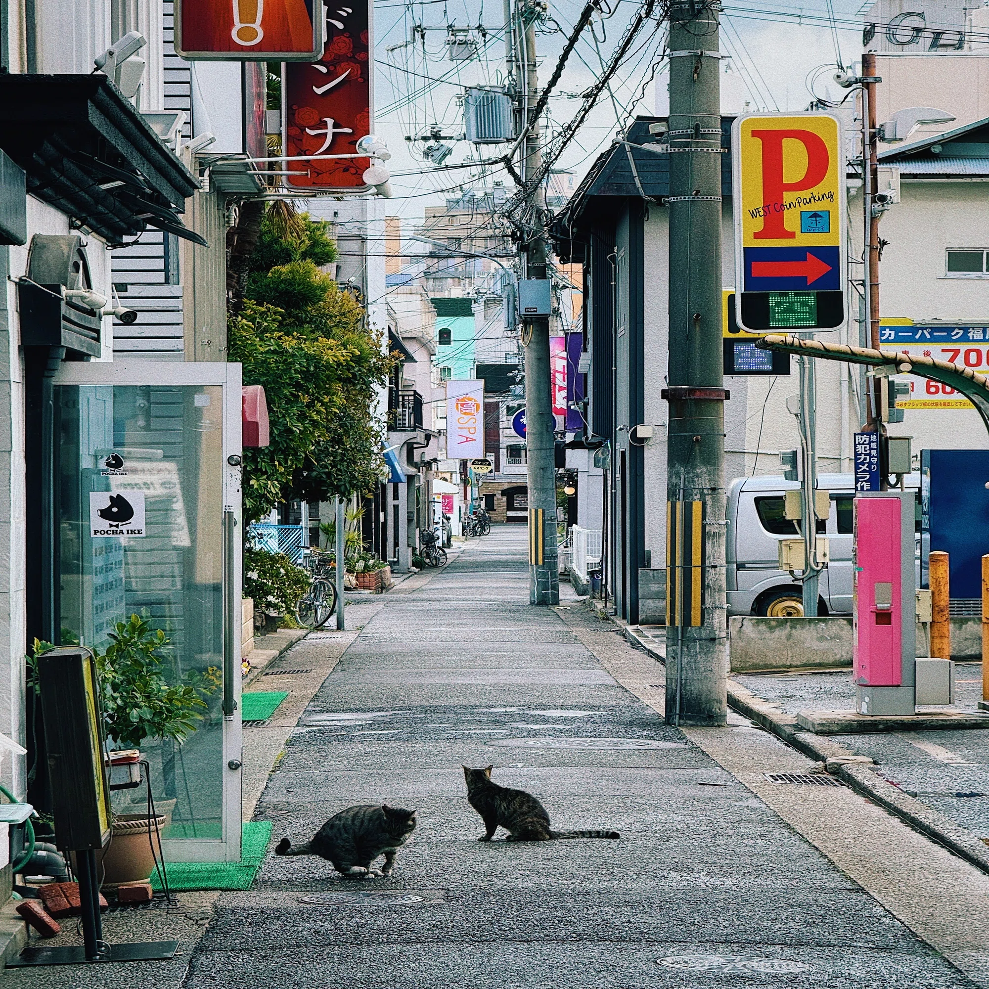 よごれた町中華の餃子と、やけた文庫本を片手の新開地｜KZ from 梅田 