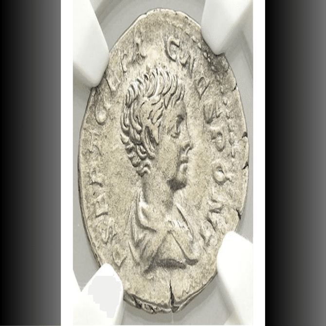 ローマ帝国　198-209　GETA, as Caesar　デナリウス貨@183 ローマ帝国 198-209 GETA, as Caesar デナリウス貨@183 ローマ帝国 198