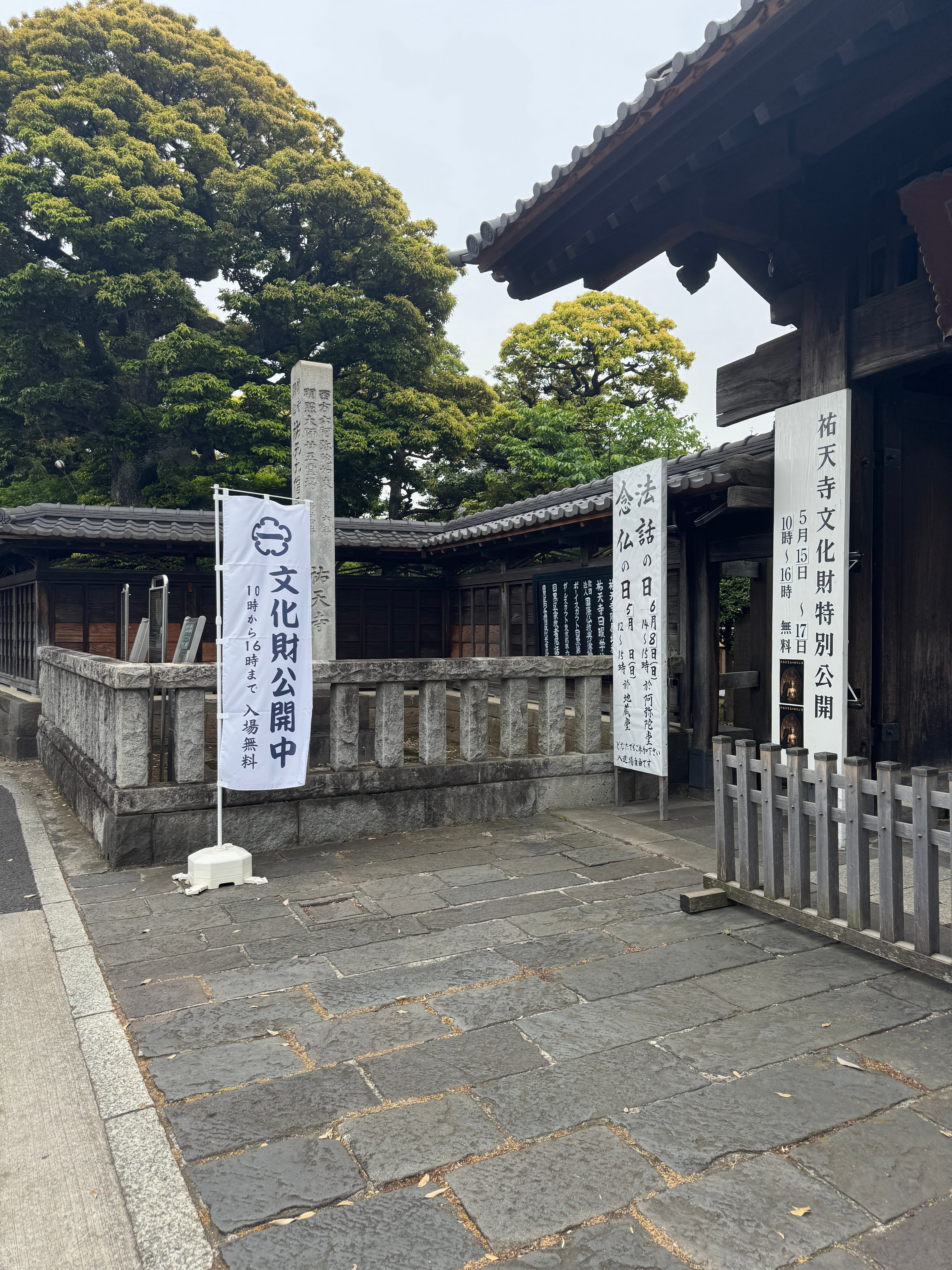 祐天寺 阿弥陀堂 春の特別公開2025｜祐天寺駅周辺の魅力を発信する会