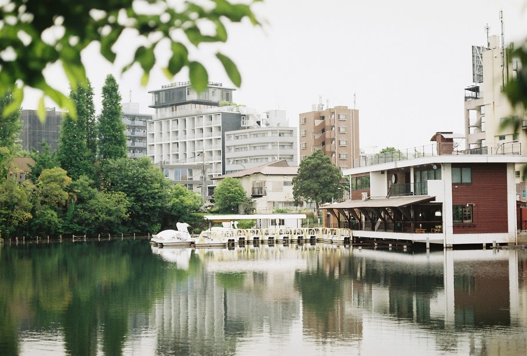 なぜかLeica R5を手に入れて、最初のフィルムを現像してみた結果
