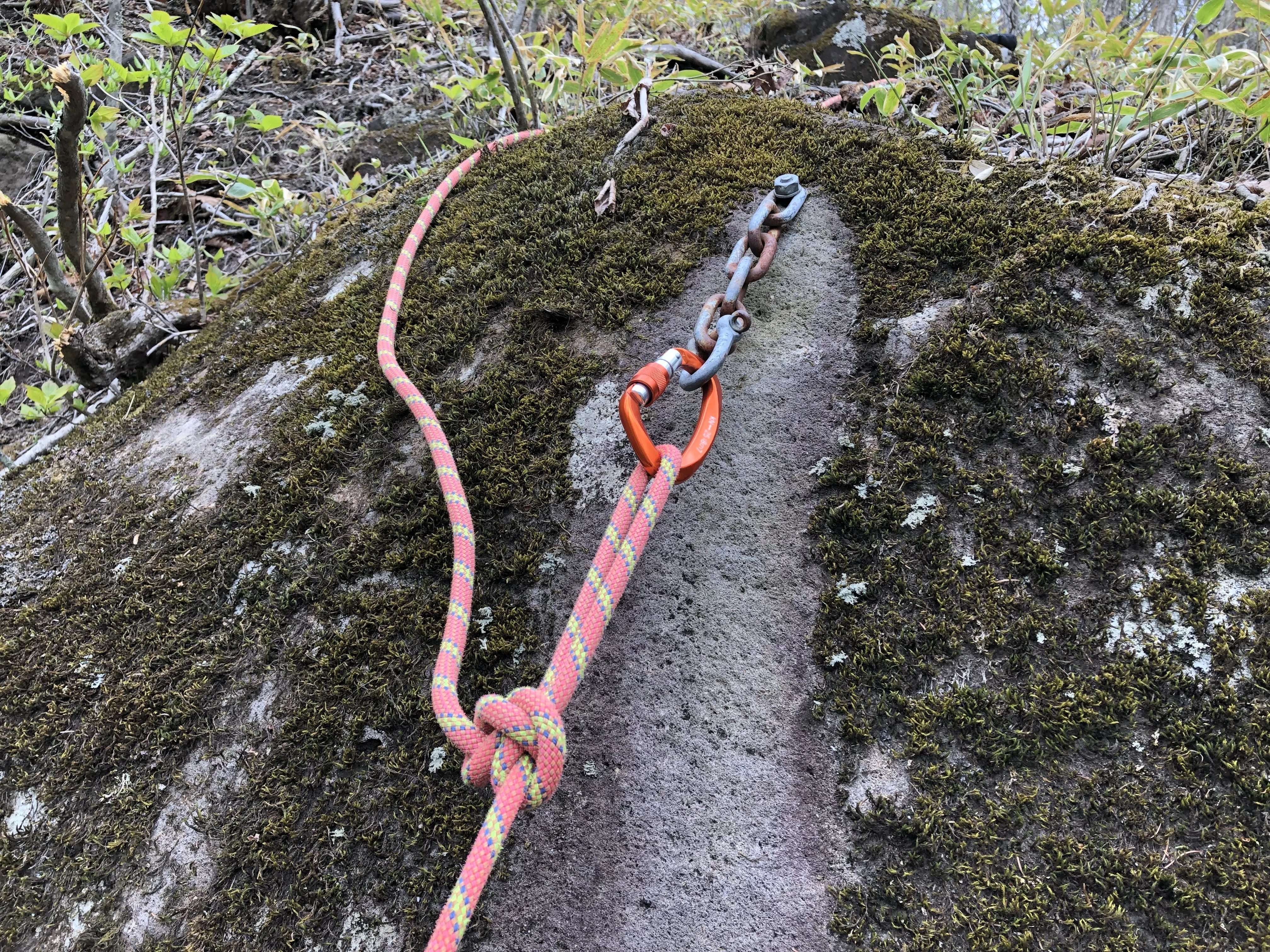 RedBull　palace カラビナ 最安値 中華製の激安カラビナに命かけてみた｜ASAI Nature Climbing